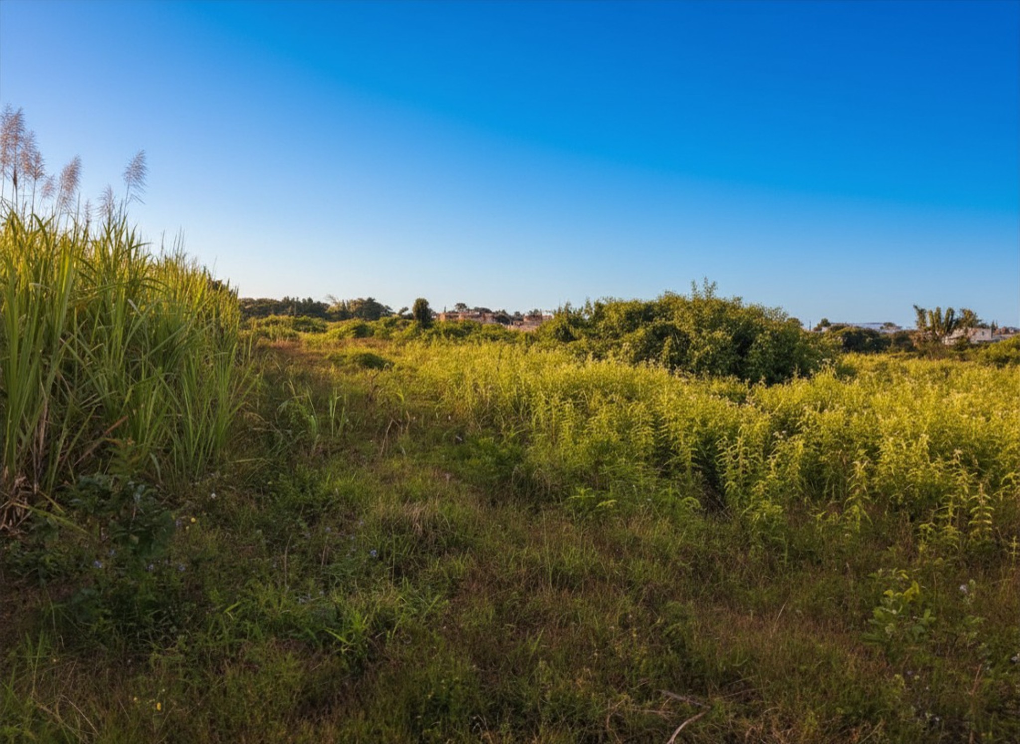 Agricultural land of 3805 m2 for sale in Quartier Militaire, center, Mauritius – LexpressProperty.com | 705618 | Ref01