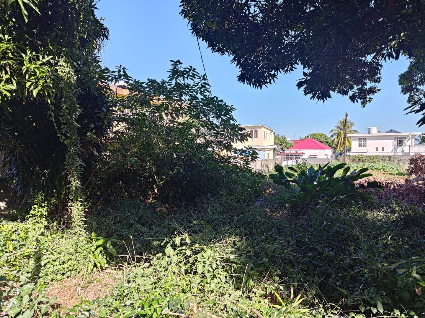 Terrain résidentiel de 403 m2 en vente à Beau Bassin, centre, île Maurice – LexpressProperty.com | 802550 | Ref01