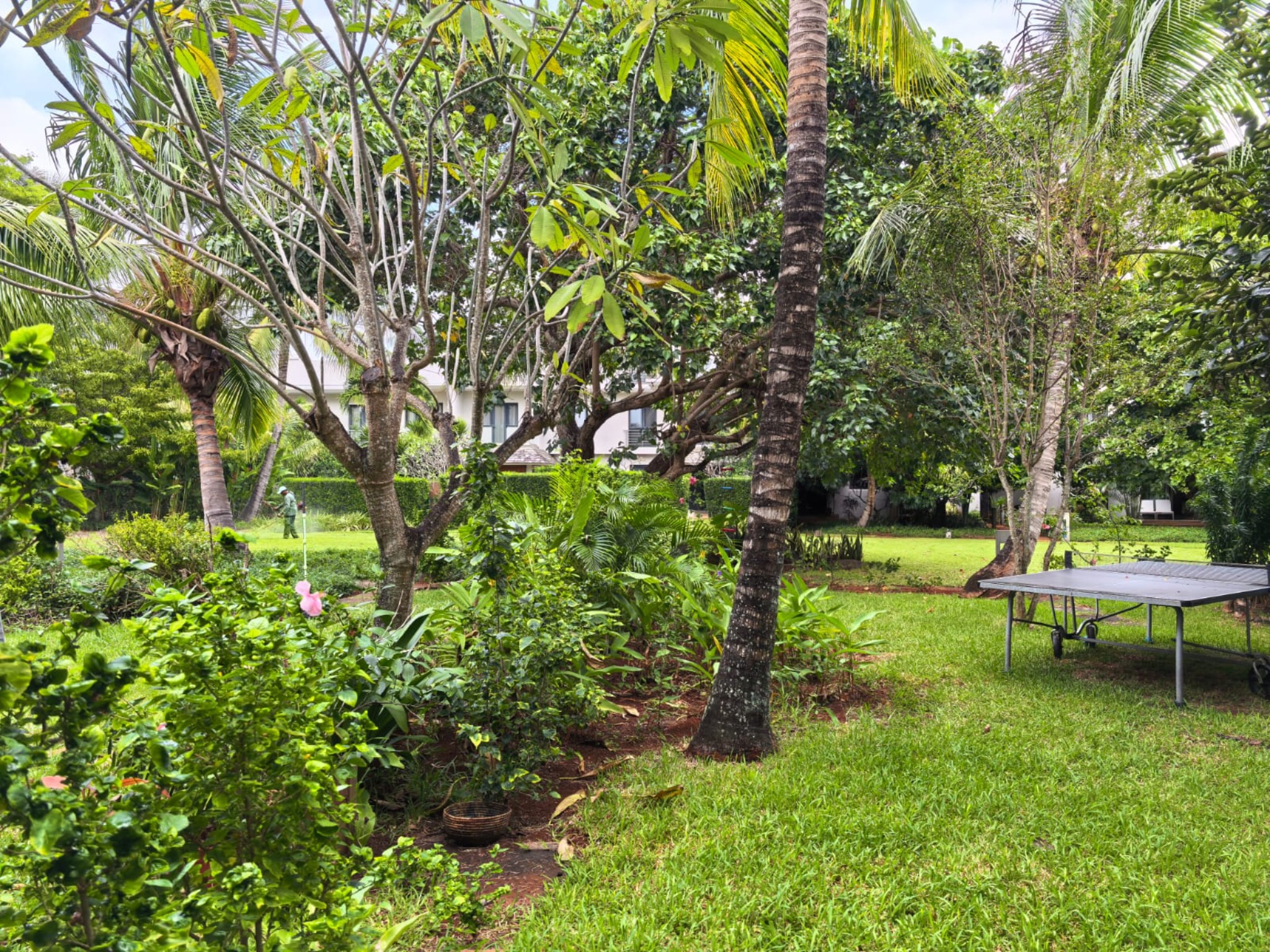 Property – LexpressProperty.com | 802768 | Ref01