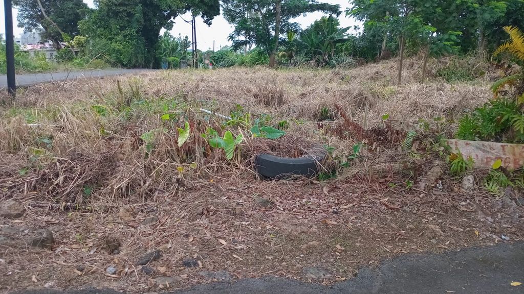 Residential land of 583.8 m2 for sale in Sébastopol, east, Mauritius – LexpressProperty.com | 781486 | Ref01