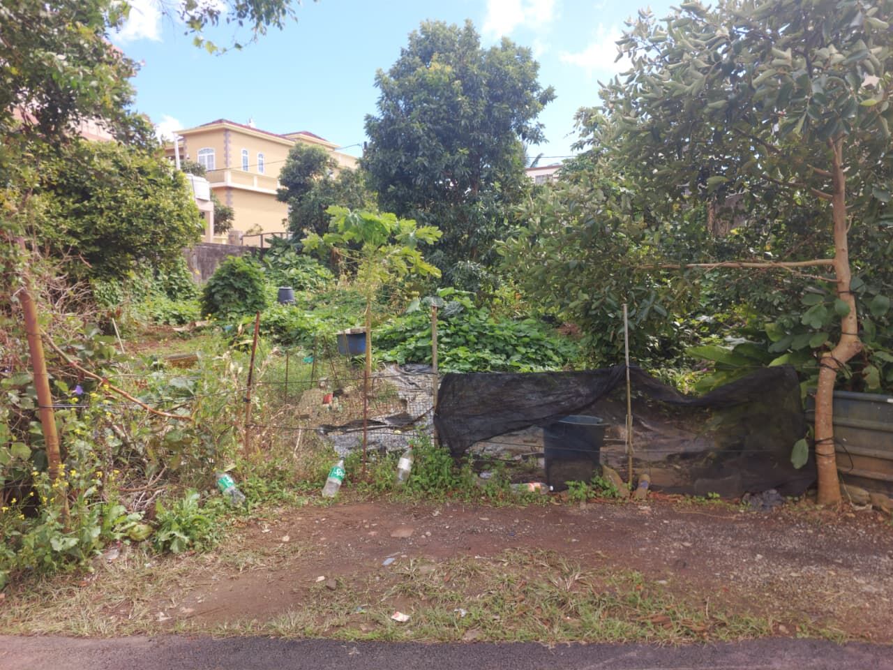 Residential land of 489 m2 for sale in Curepipe, center, Mauritius – LexpressProperty.com | 813374 | Ref01