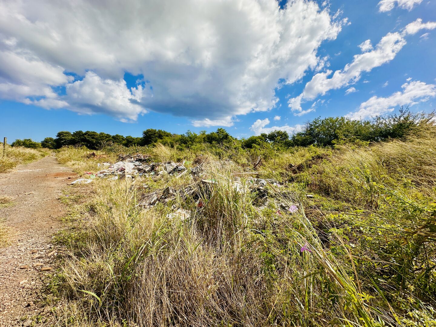 Property – LexpressProperty.com | 817884 | Ref01