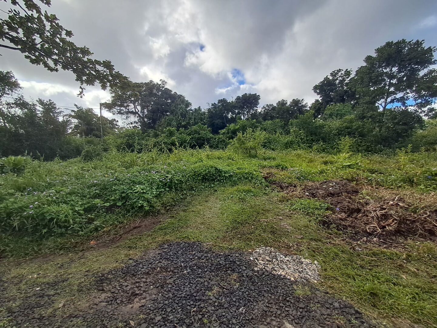 Residential land of 498 m2 for sale in Curepipe, center, Mauritius – LexpressProperty.com | 817743 | Ref01
