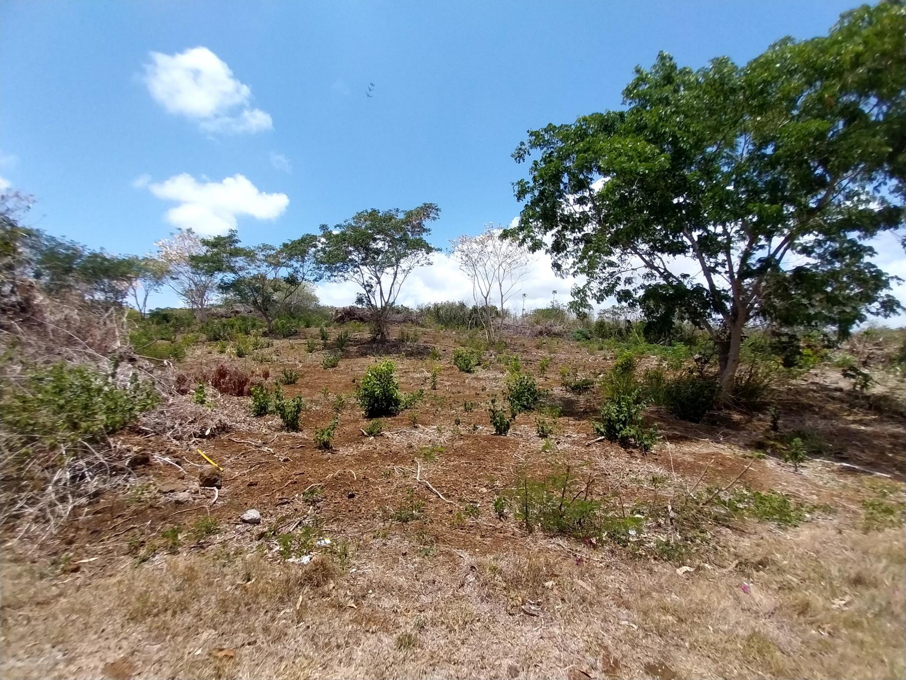 Property – LexpressProperty.com | 784581 | Ref01