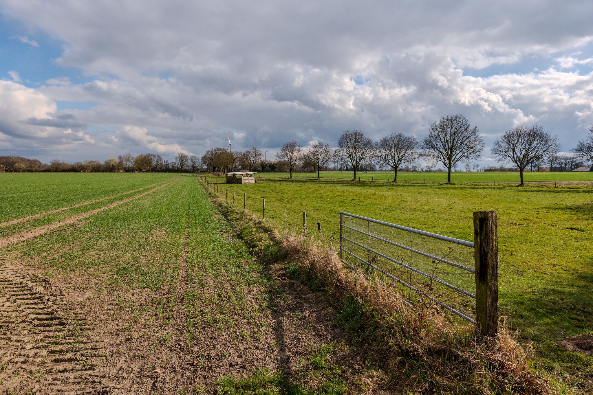 Agricultural land of 1319.021875 m² for sale in Arsenal, north, Mauritius – LexpressProperty.com | 781851 | Ref01