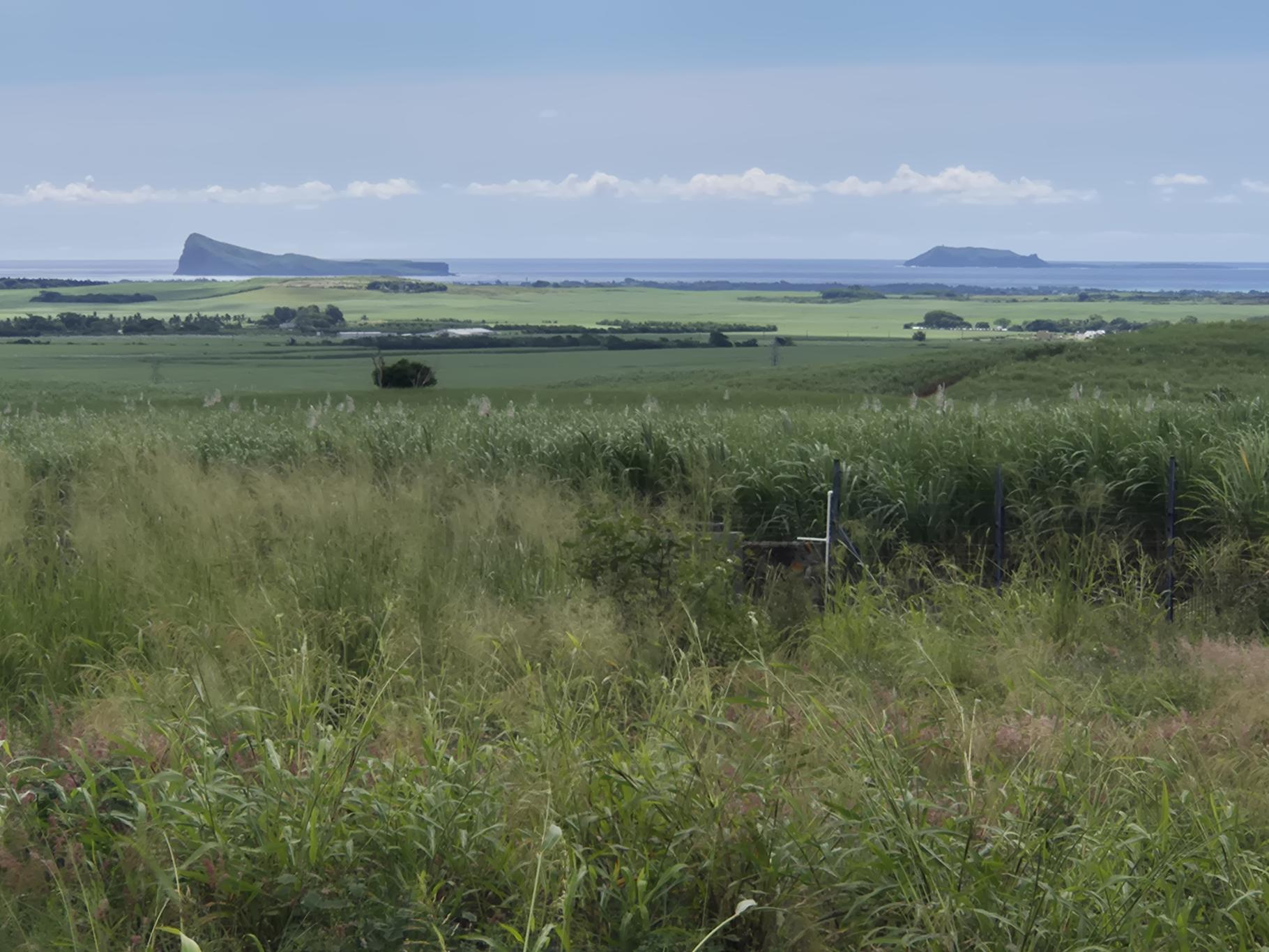 Residential land of 1382 m2 for sale in Mont Piton, north, Mauritius – LexpressProperty.com | 819378 | Ref01