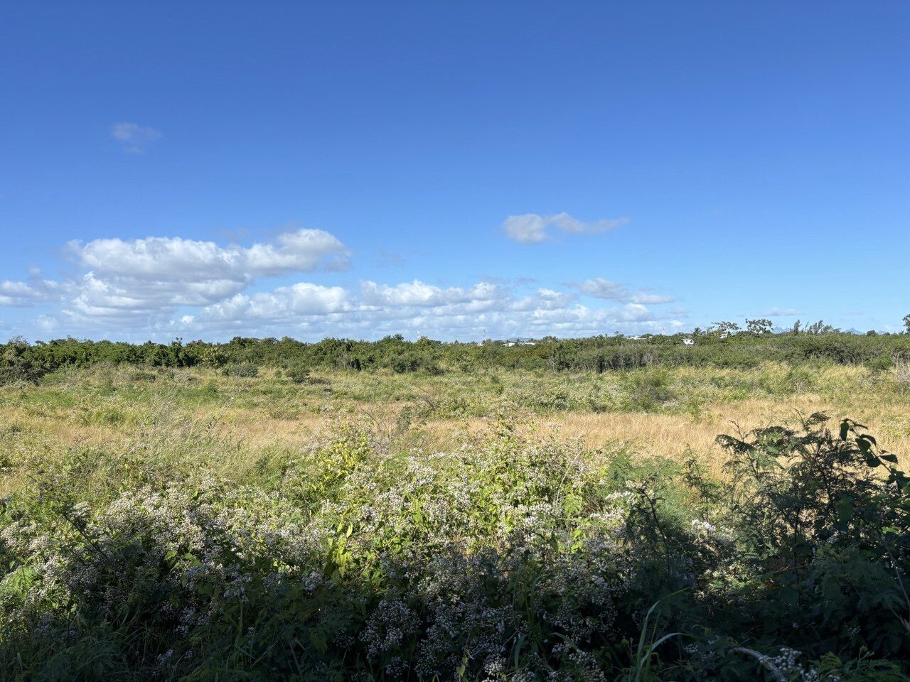 Property – LexpressProperty.com | 813868 | Ref01