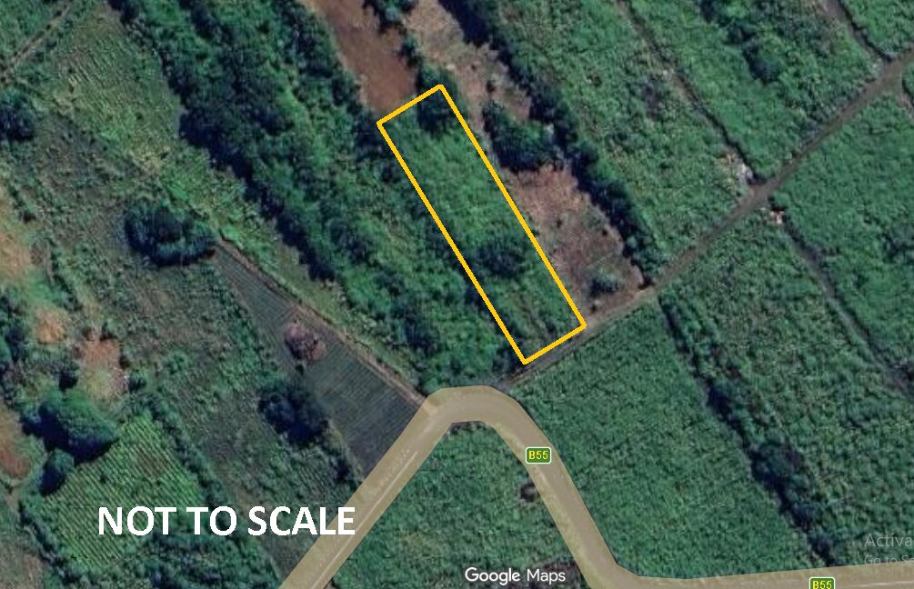Agricultural land of 2490 m2 for sale in Camp de Masque, east, Mauritius – LexpressProperty.com | 823406 | Ref01