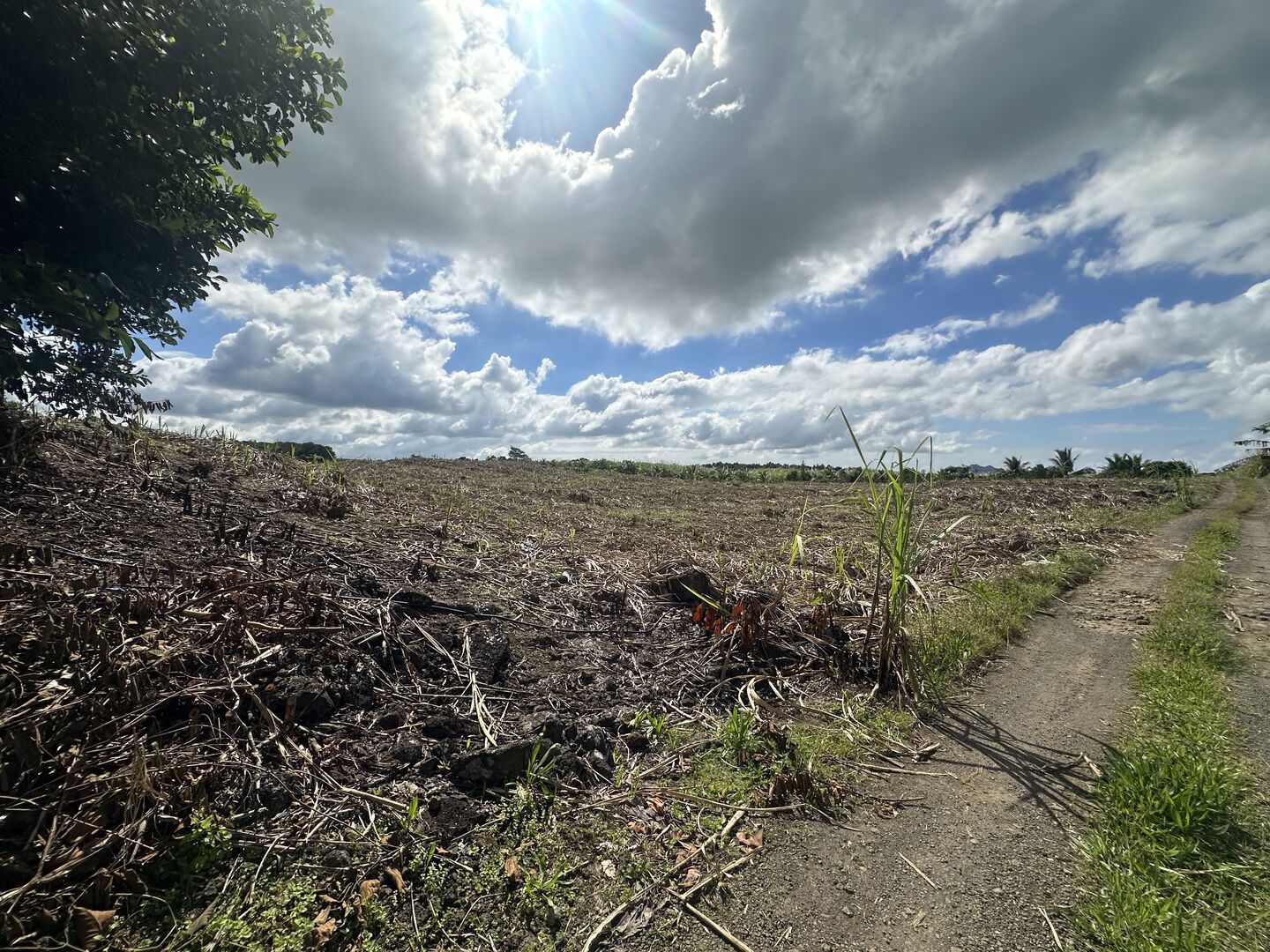 Property – LexpressProperty.com | 824105 | Ref01