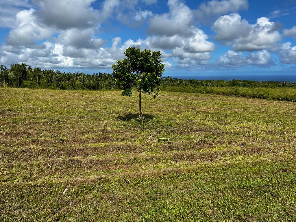 Terrain agricole de 2111 m2 en vente à Bois Chéri, sud, île Maurice – LexpressProperty.com | 824497 | Ref01