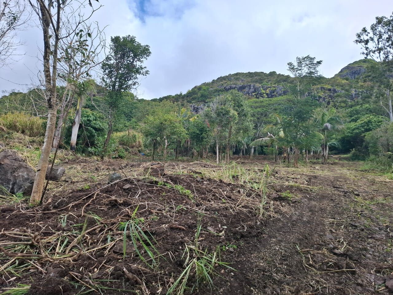 Agricultural land of 9897 m2 for sale in Crève Coeur, north, Mauritius – LexpressProperty.com | 824944 | Ref01