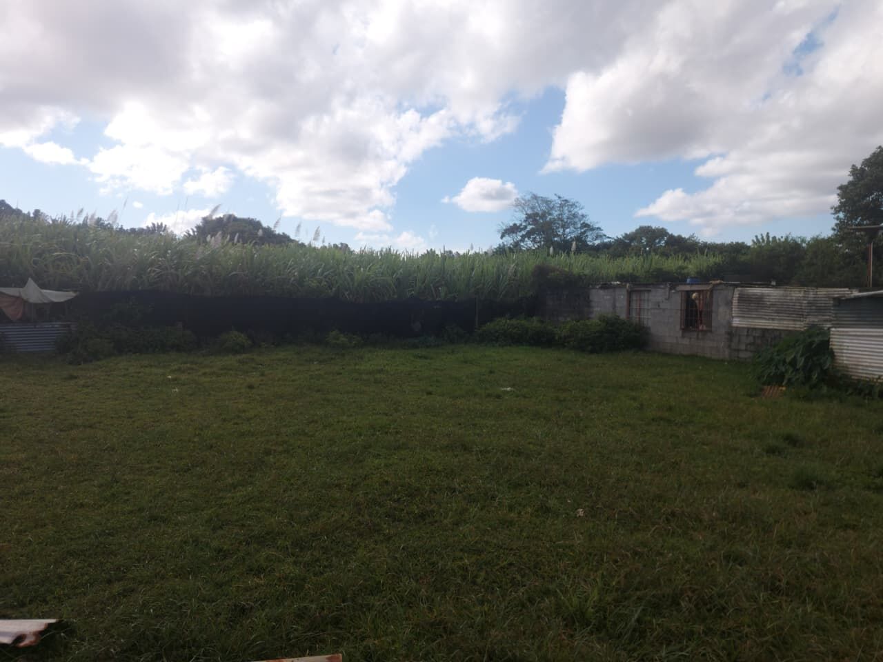 Agricultural land of 2110 m2 for sale in Rose Belle, south, Mauritius – LexpressProperty.com | 824943 | Ref01