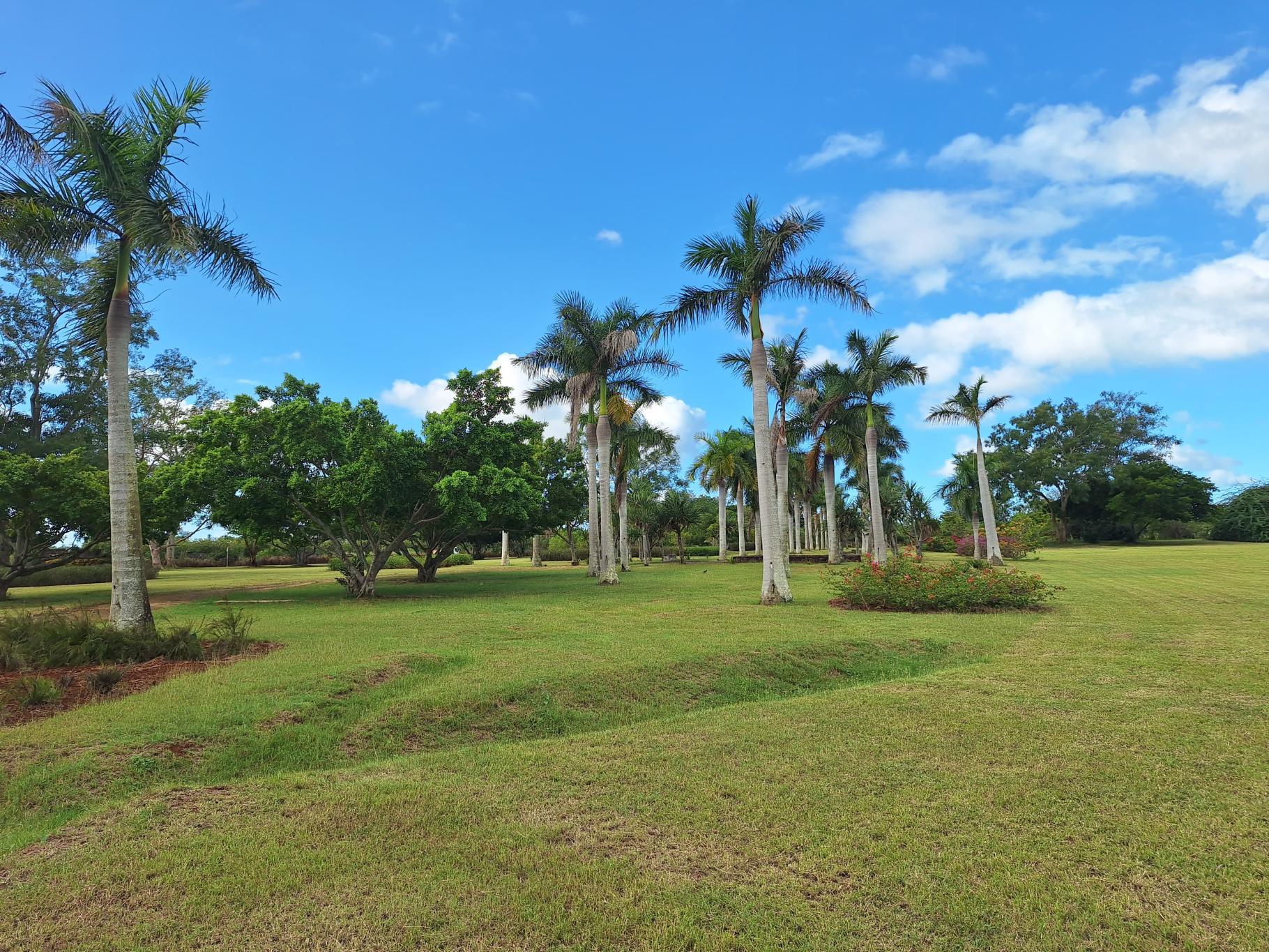 Property – LexpressProperty.com | 824492 | Ref01