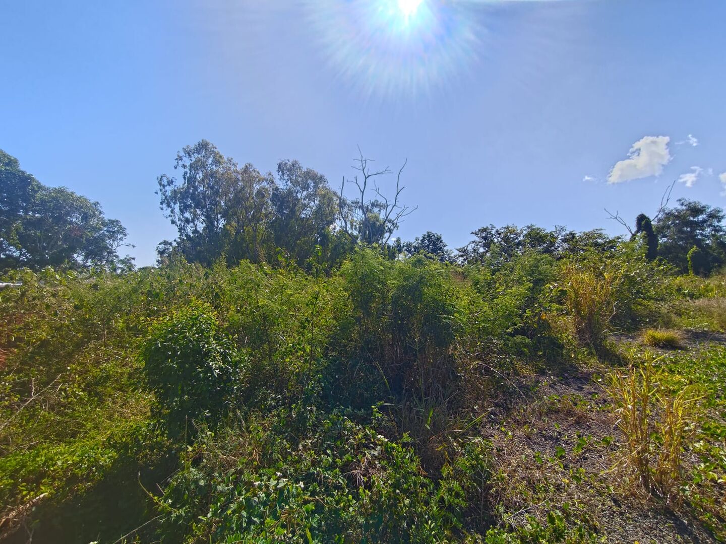 Terrain résidentiel de 590 m2 en vente à Khoyratty, nord, île Maurice – LexpressProperty.com | 827128 | Ref01