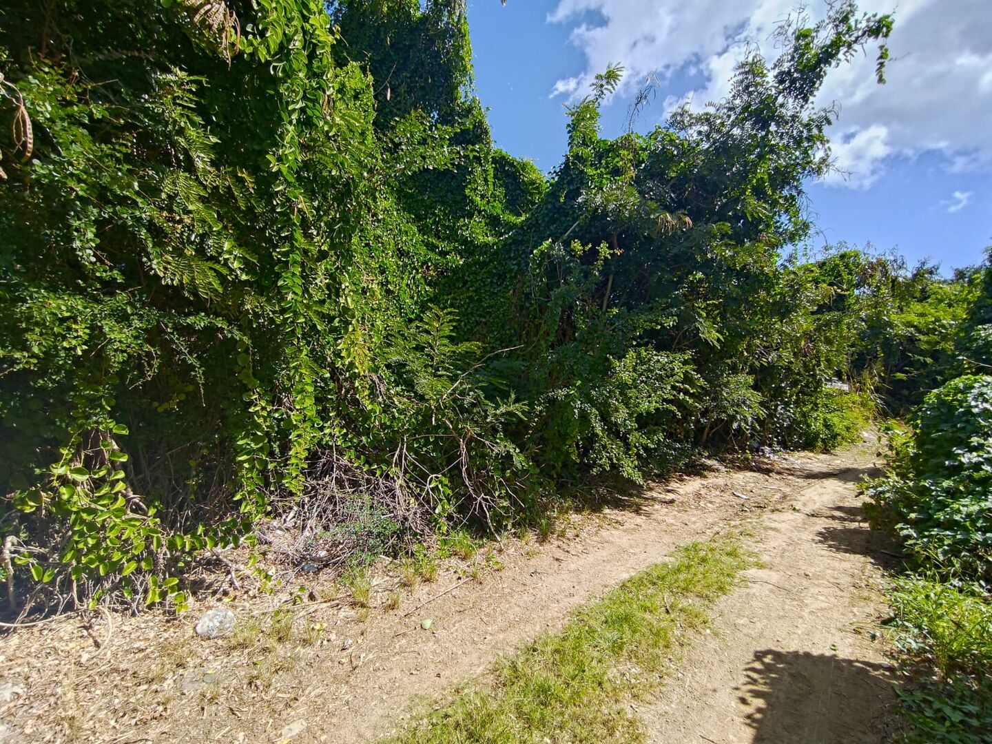 Property – LexpressProperty.com | 827200 | Ref01