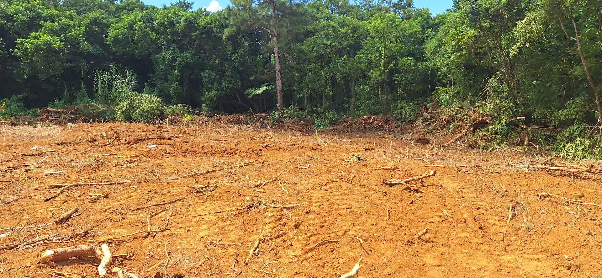 Residential land of 775 m2 for sale in Phoenix, center, Mauritius – LexpressProperty.com | 790008 | Ref01