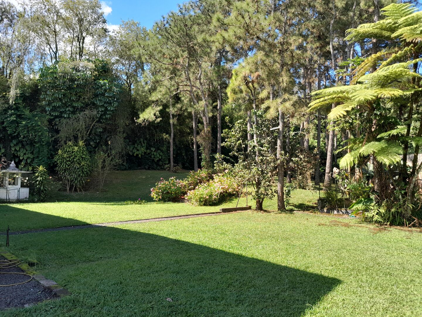 Property – LexpressProperty.com | 828588 | Ref01