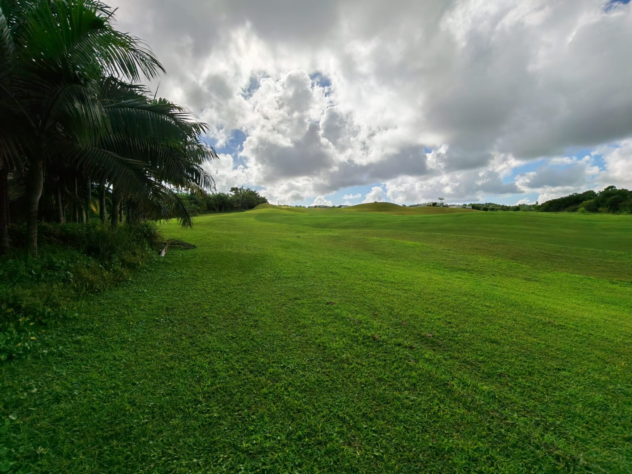 Property – LexpressProperty.com | 814431 | Ref01