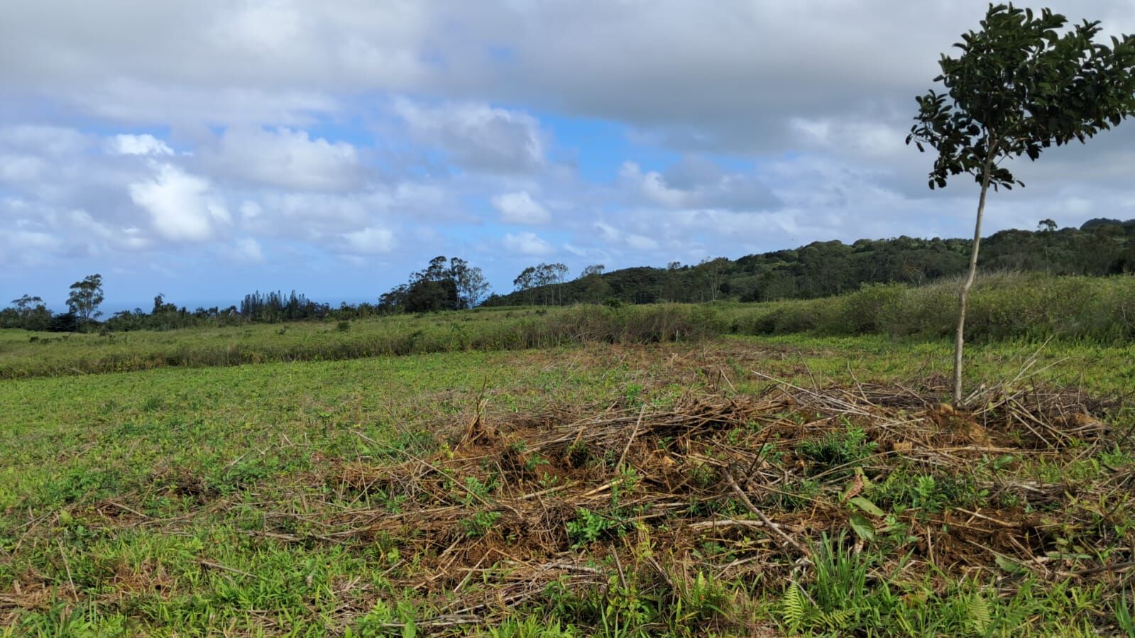 Property – LexpressProperty.com | 829384 | Ref01