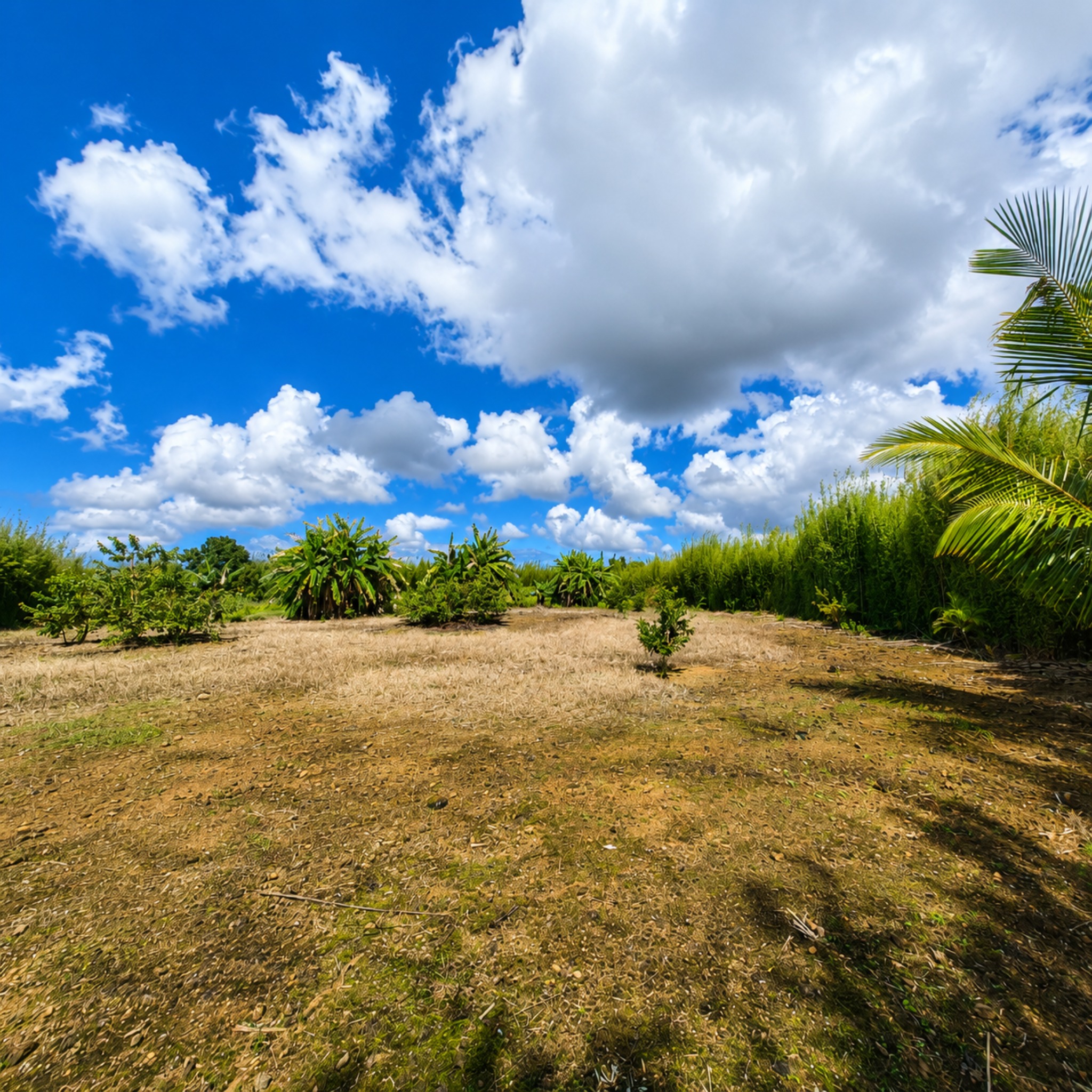Property – LexpressProperty.com | 829373 | Ref01