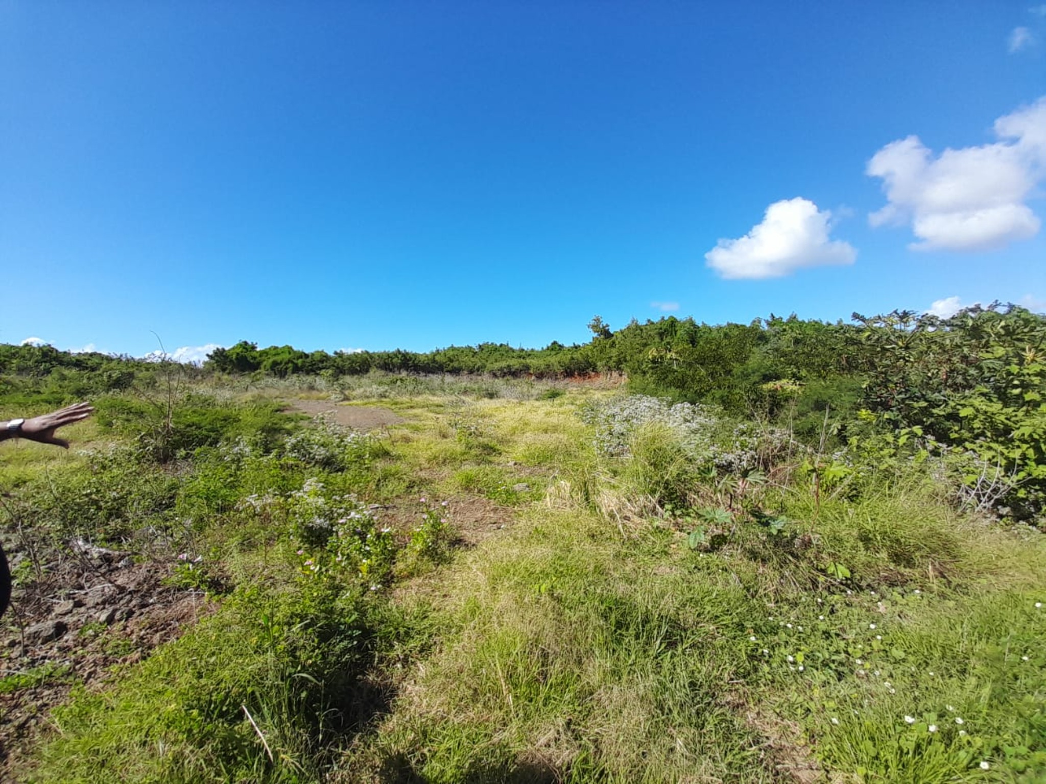 Residential land of 4192 m2 for sale in Grand Gaube, north, Mauritius – LexpressProperty.com | 782264 | Ref01