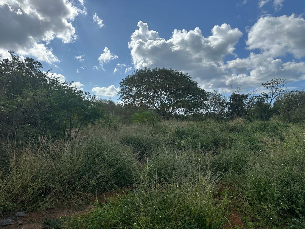 Residential land of 591 m2 for sale in Pointe aux Piments, north, Mauritius – LexpressProperty.com | 815848 | Ref01