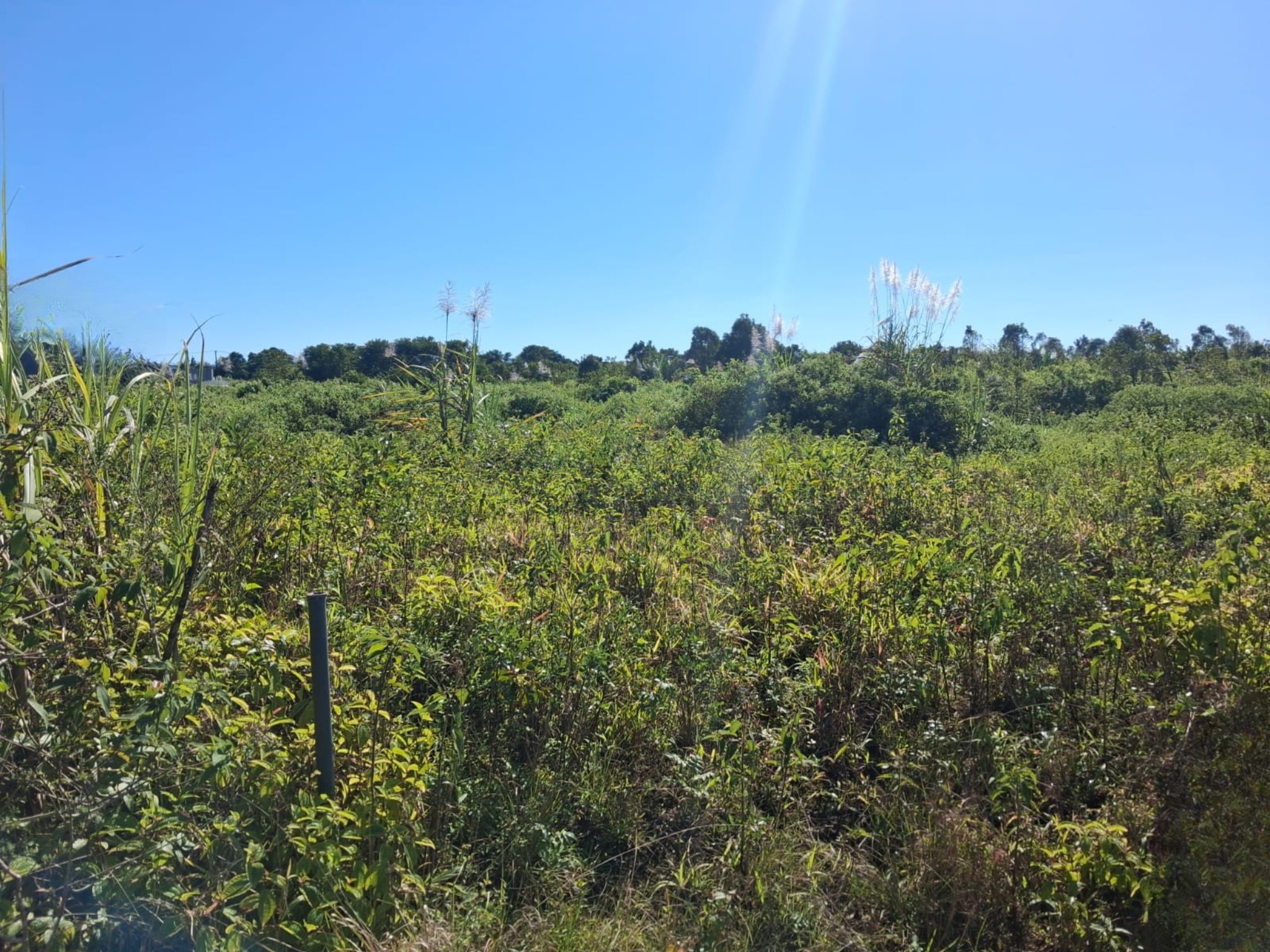 Agricultural land of 2110.44 m2 for sale in Quartier Militaire, center, Mauritius – LexpressProperty.com | 690268 | Ref01