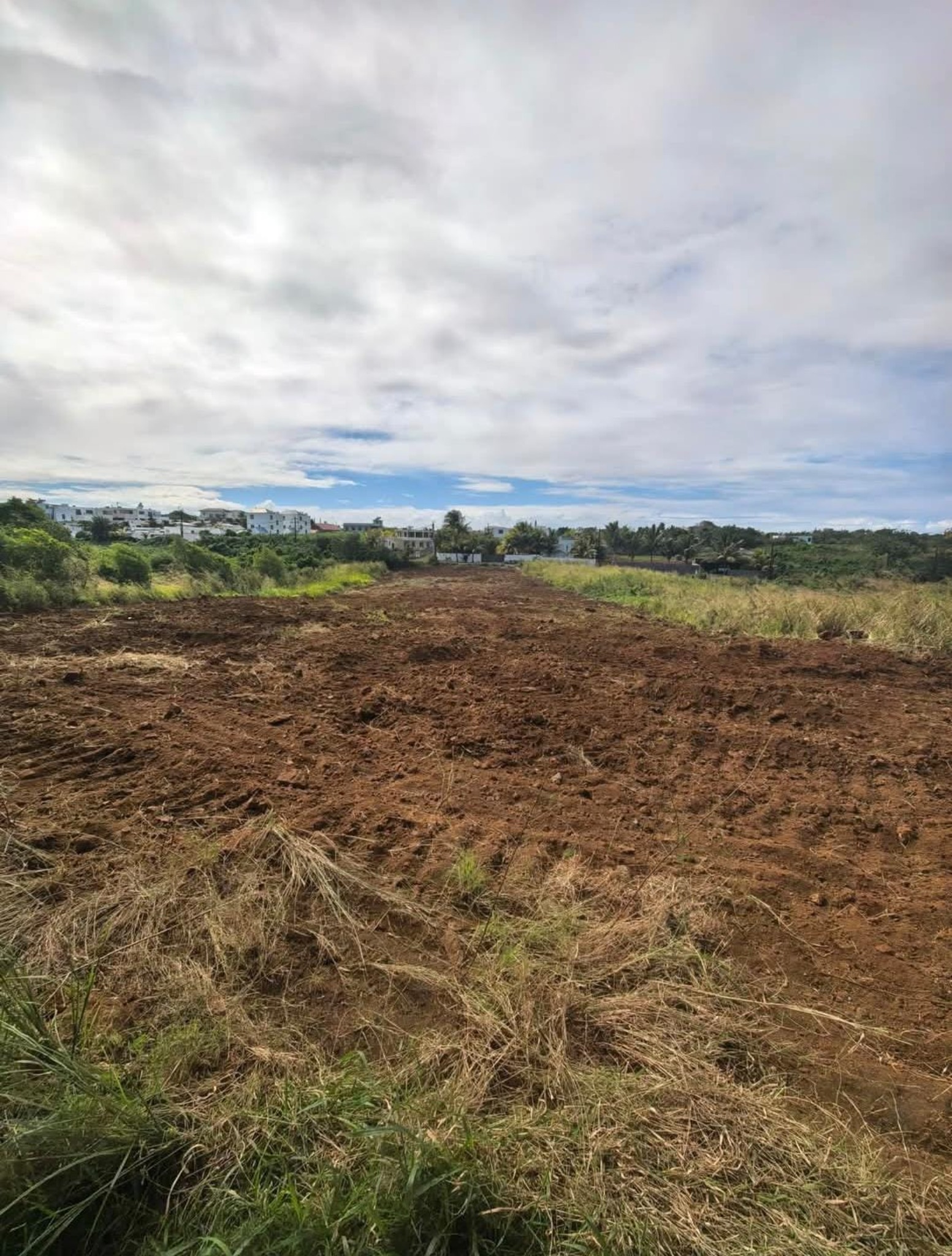 Property – LexpressProperty.com | 813908 | Ref01