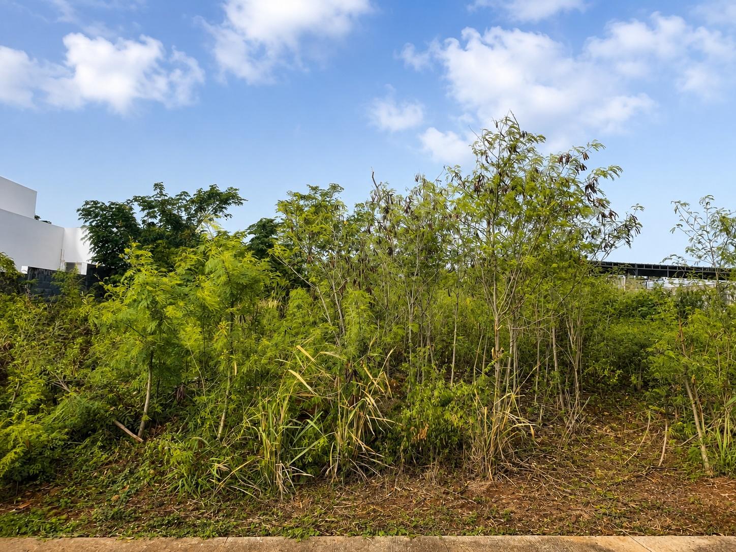 Residential land of 555 m2 for sale in Albion, west, Mauritius – LexpressProperty.com | 817127 | Ref01