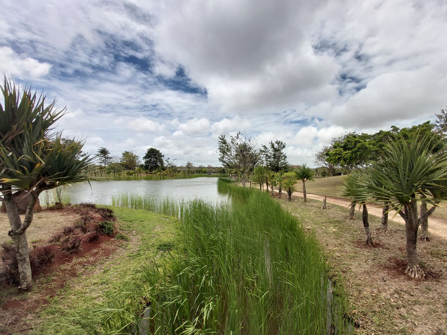 Property – LexpressProperty.com | 834355 | Ref01