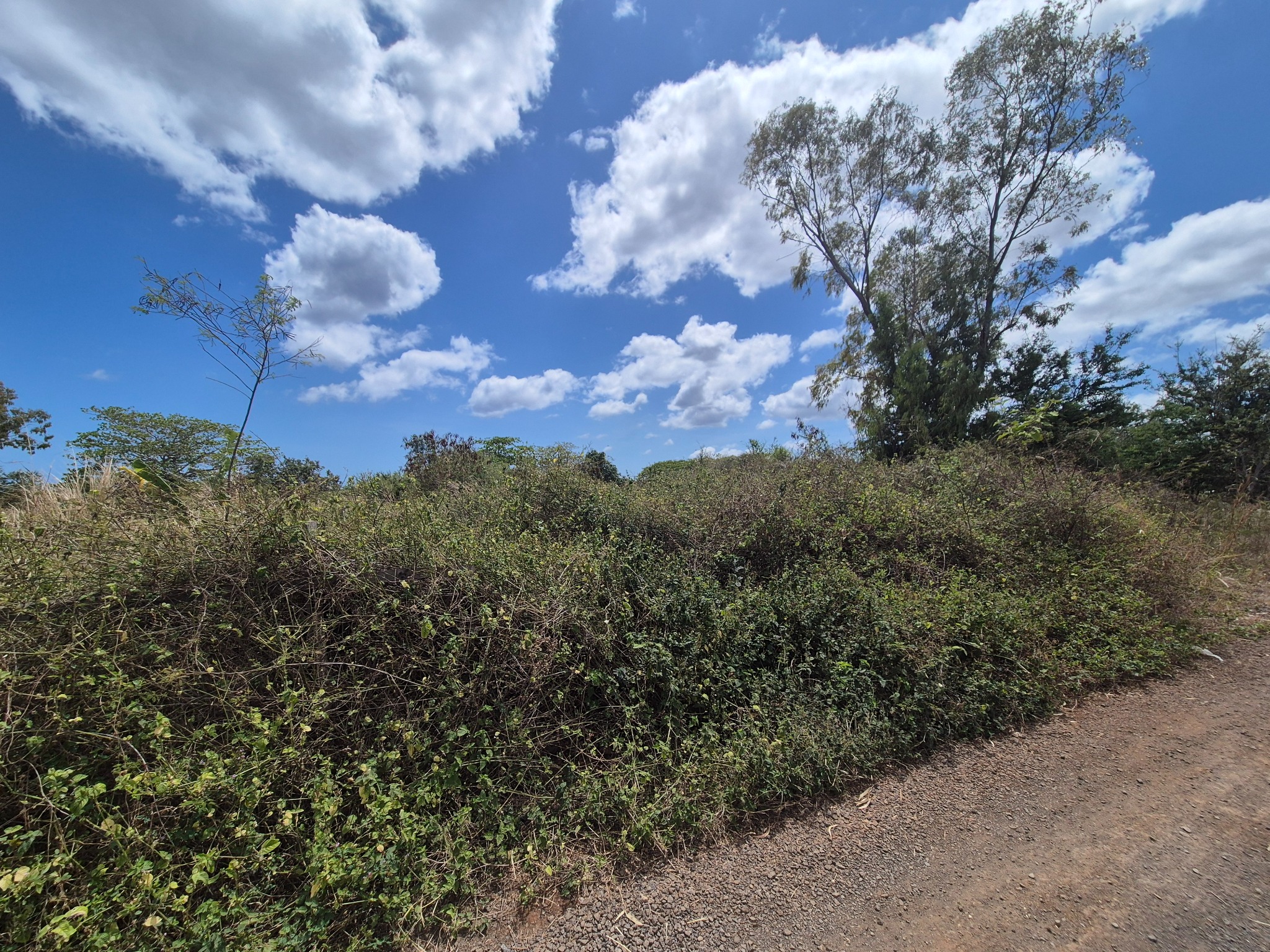 Property – LexpressProperty.com | 834638 | Ref01