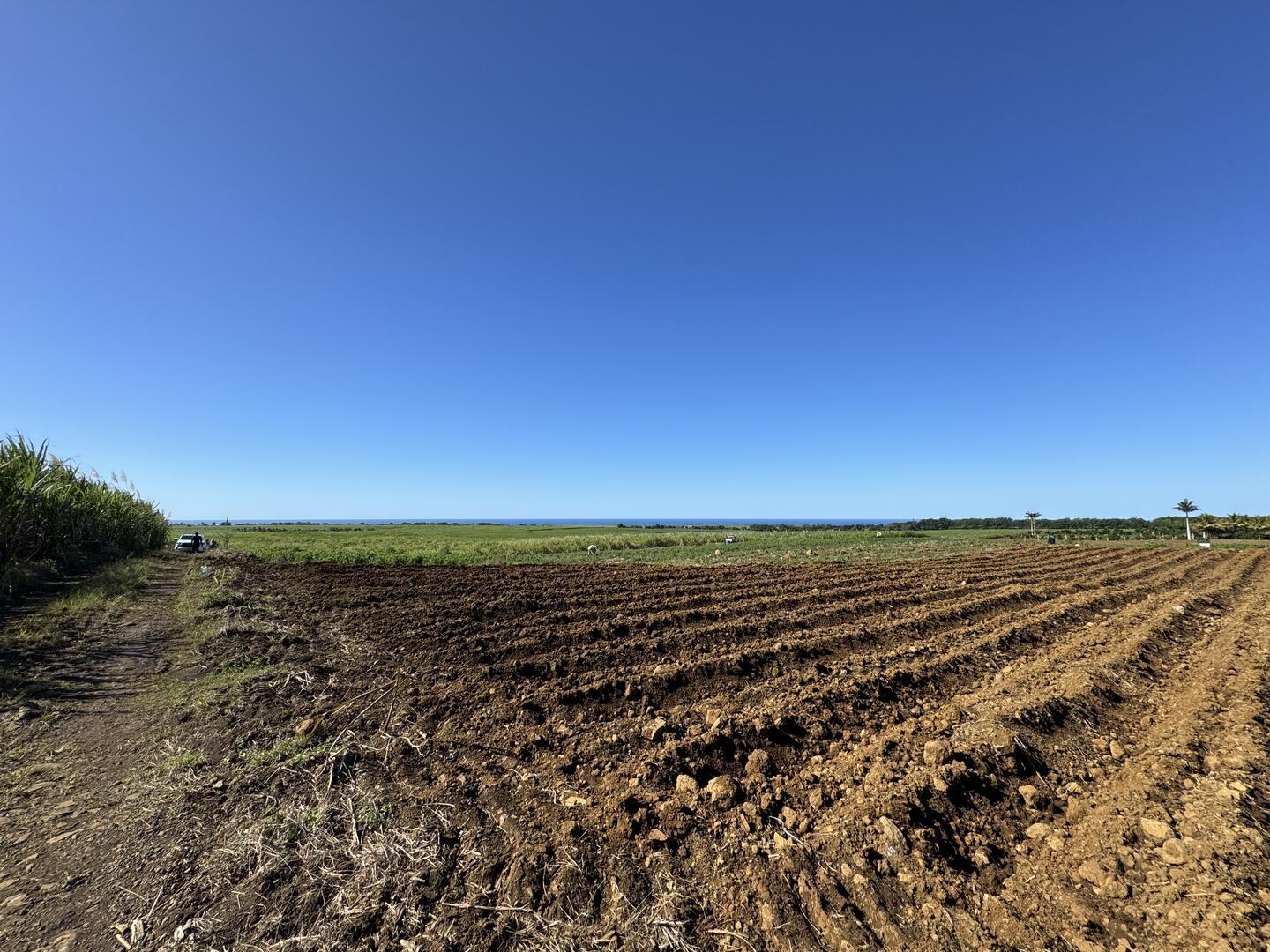 Agricultural land of 4221 m2 for sale in Gros Bois, south, Mauritius – LexpressProperty.com | 834361 | Ref01