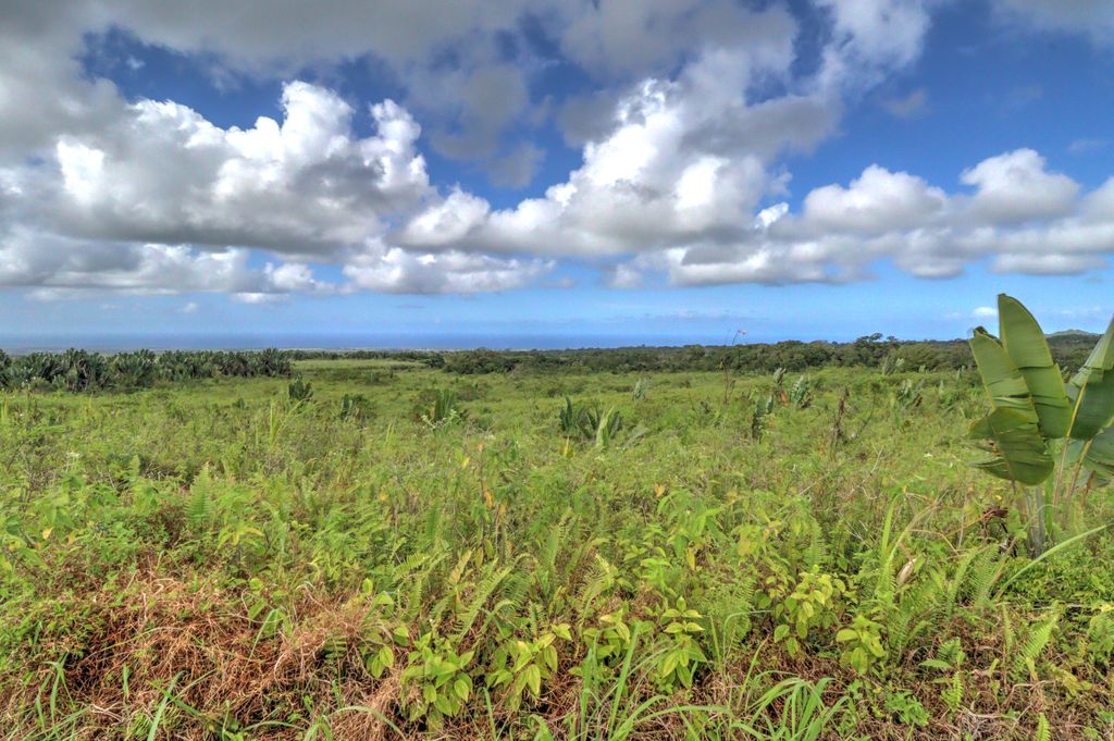 Terrain agricole de 2113 m2 en vente à Bois Chéri, sud, île Maurice – LexpressProperty.com | 834844 | Ref01