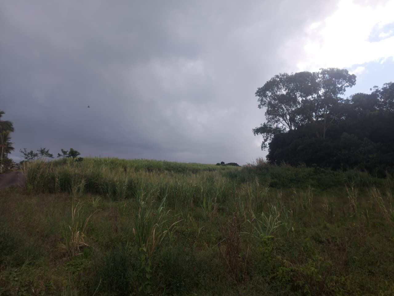 Agricultural land of 18151 m2 for sale in St Julien d'Hotman, east, Mauritius – LexpressProperty.com | 835626 | Ref01