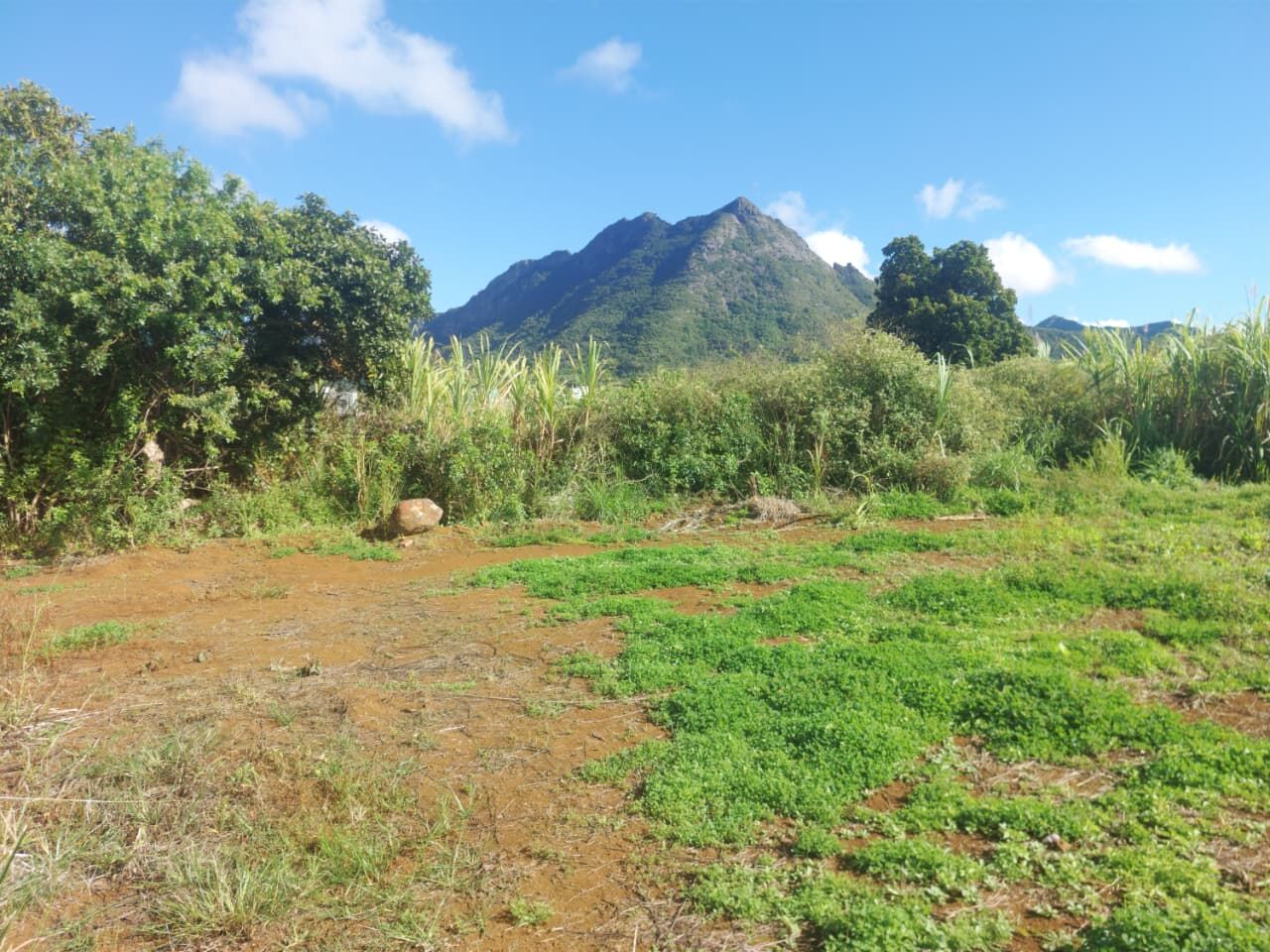 Residential land of 780 m2 for sale in Moka, center, Mauritius – LexpressProperty.com | 836091 | Ref01