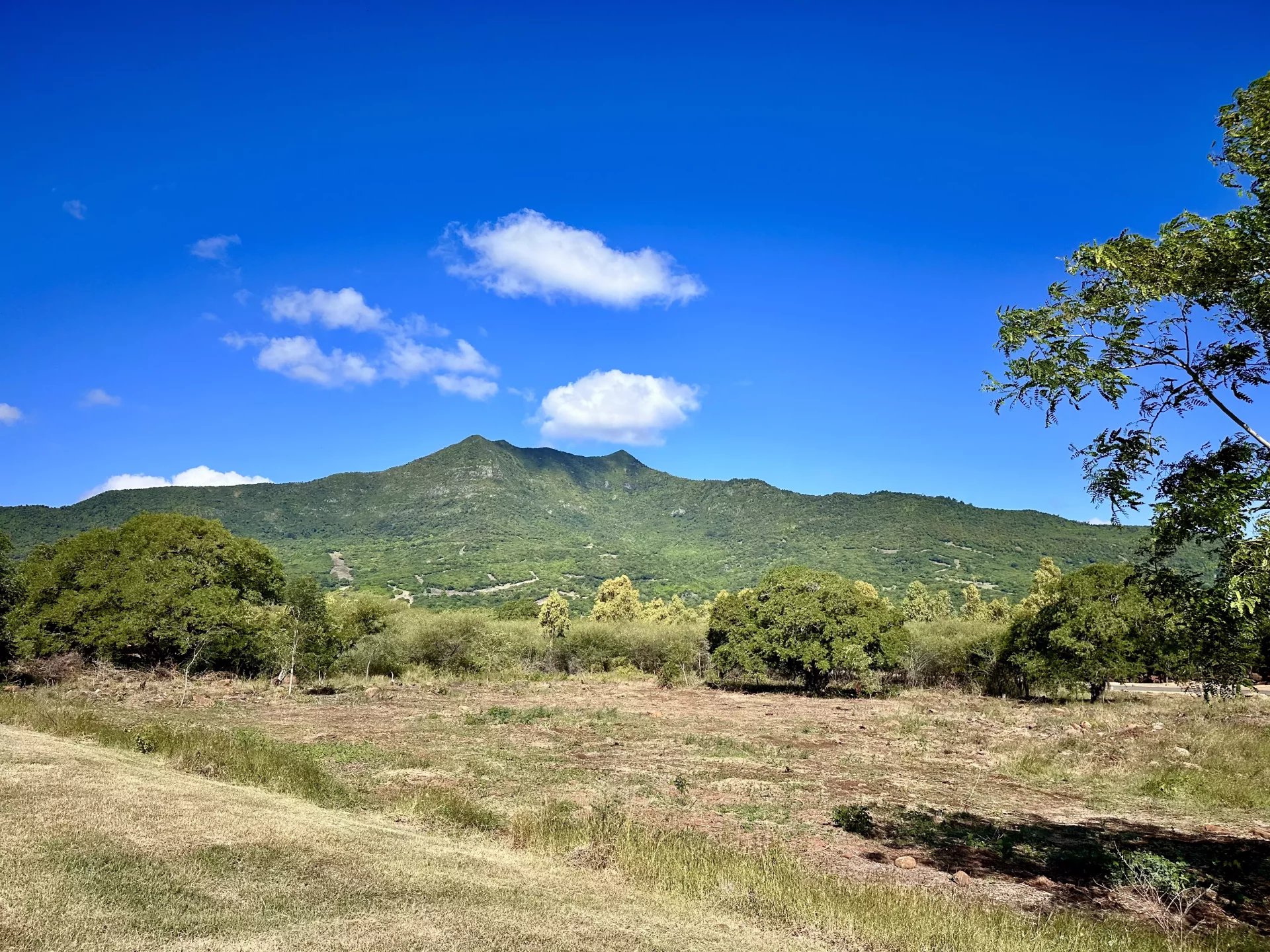Property – LexpressProperty.com | 837248 | Ref01