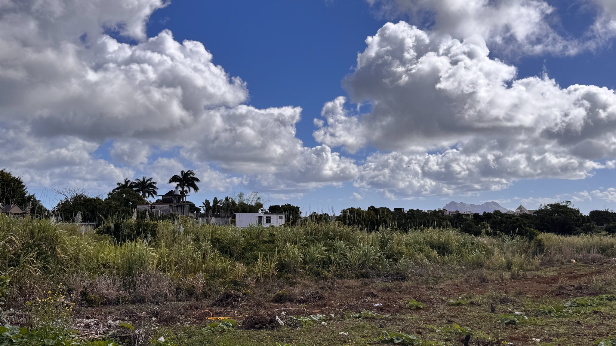 Property – LexpressProperty.com | 830877 | Ref01