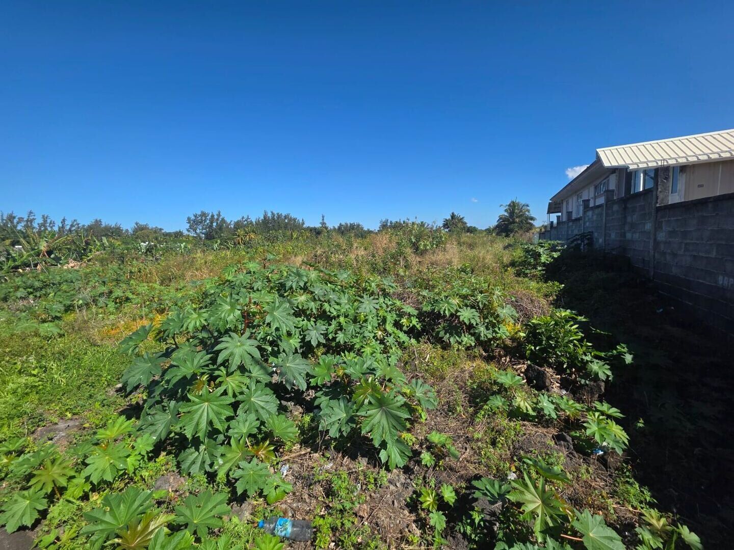Property – LexpressProperty.com | 823702 | Ref01