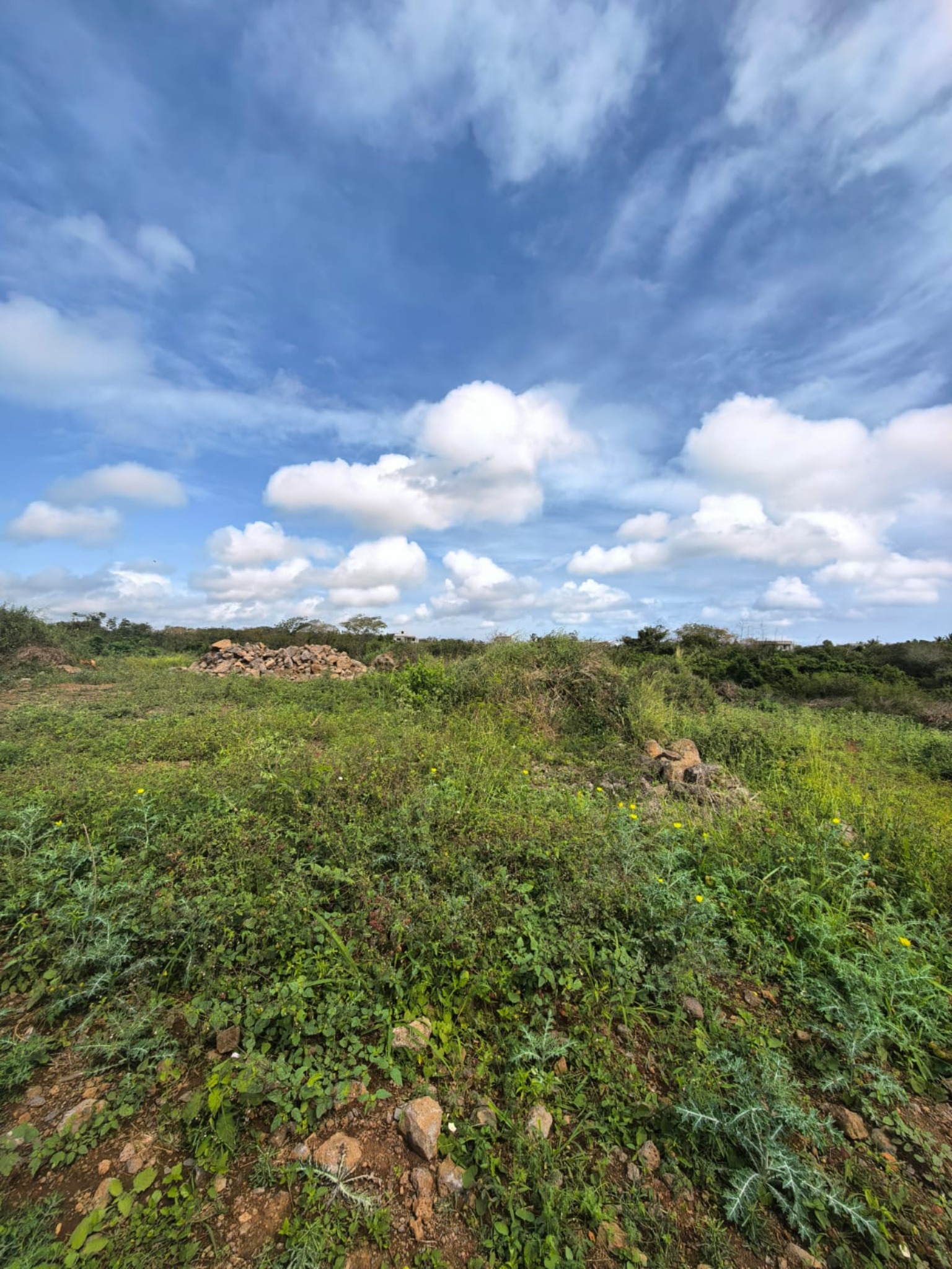 Property – LexpressProperty.com | 832031 | Ref01