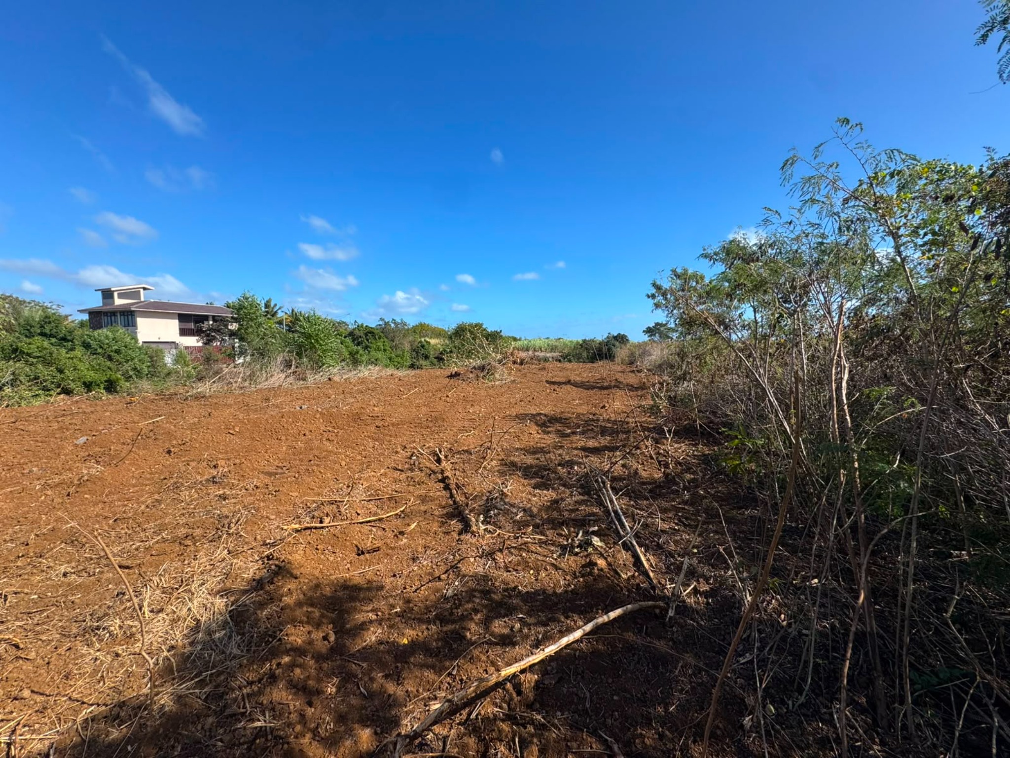 Property – LexpressProperty.com | 831576 | Ref01