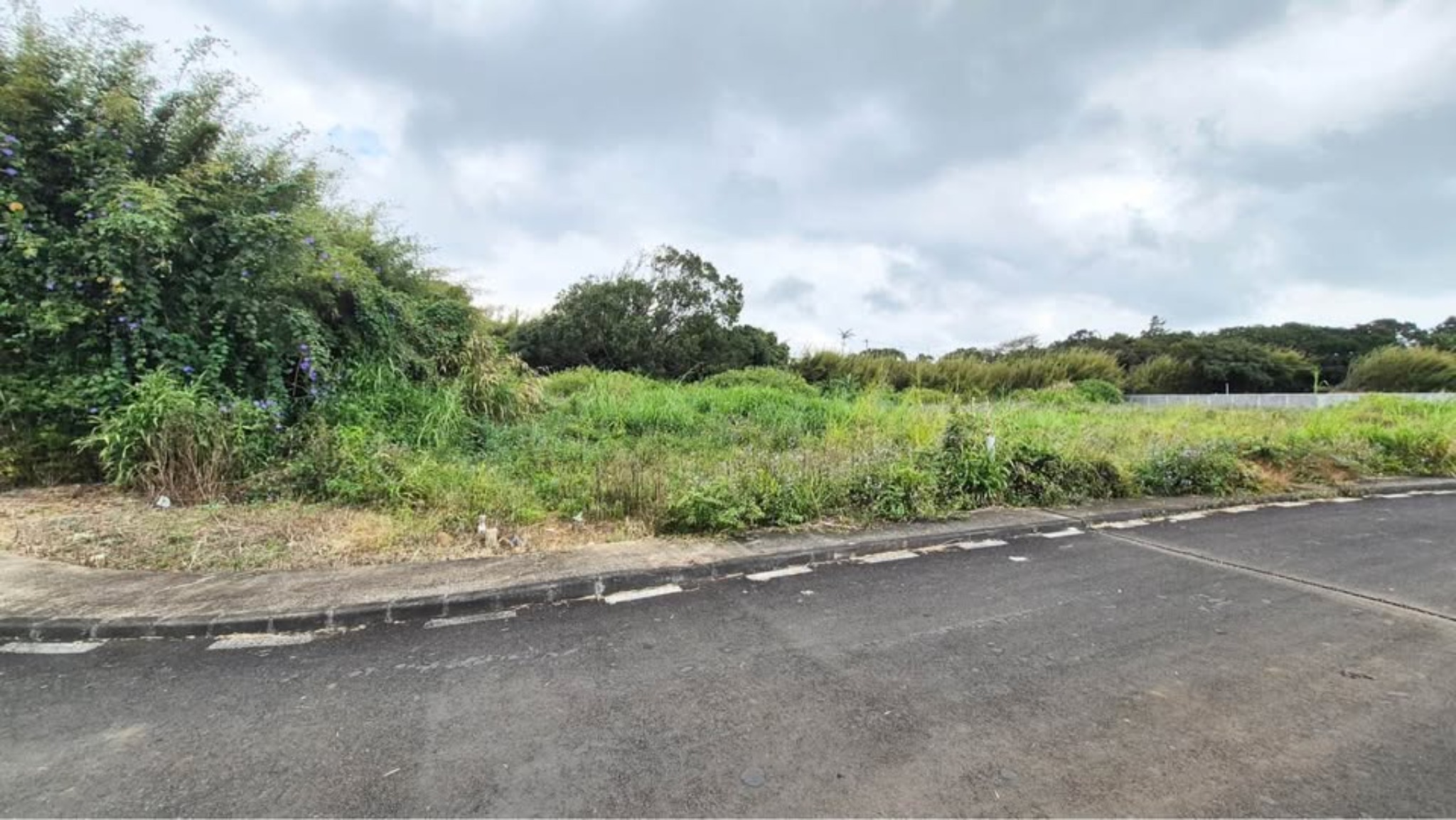 Residential land of 385.787518 m² for sale in Curepipe, center, Mauritius – LexpressProperty.com | 831594 | Ref01
