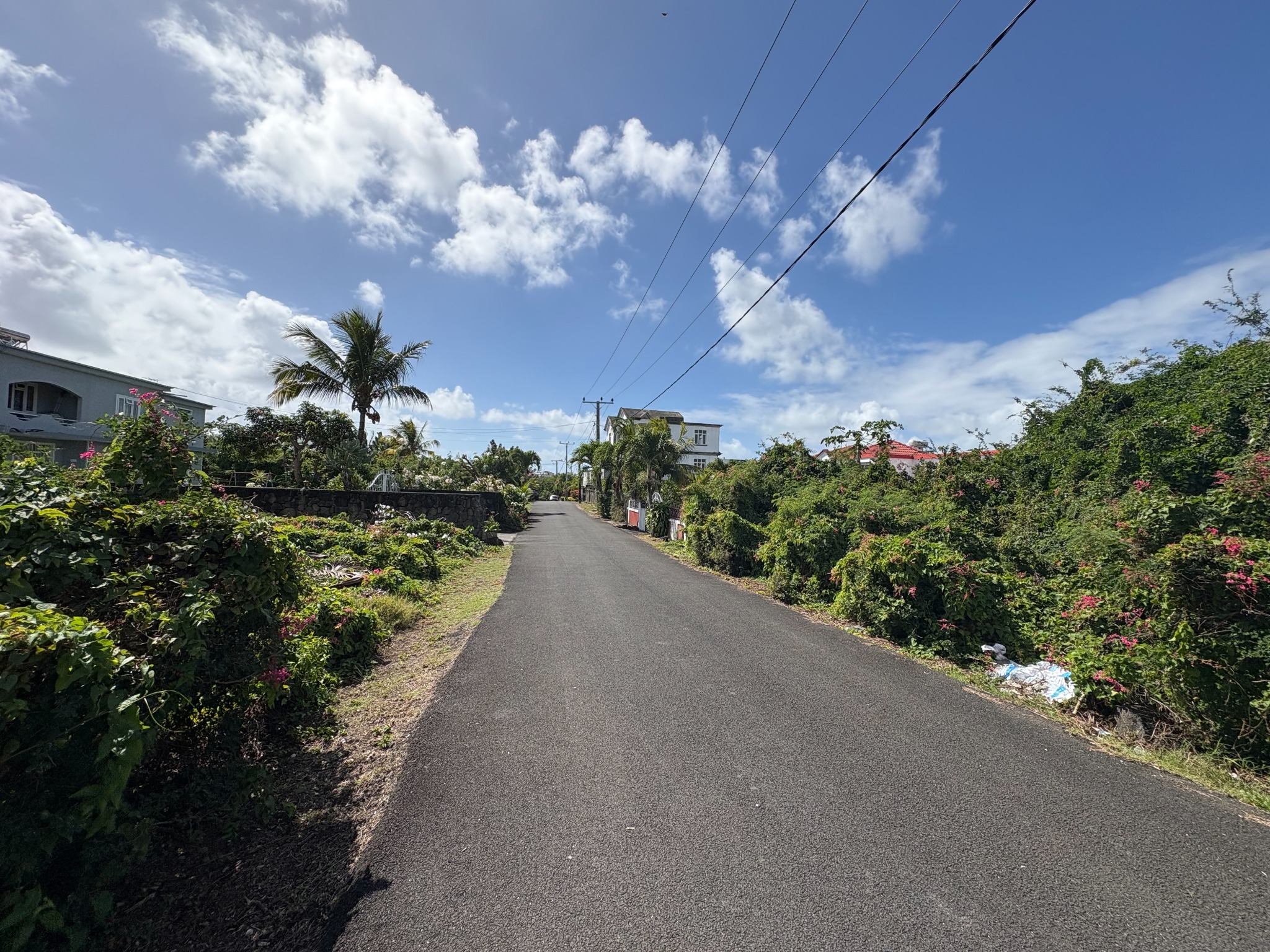 Property – LexpressProperty.com | 831908 | Ref01