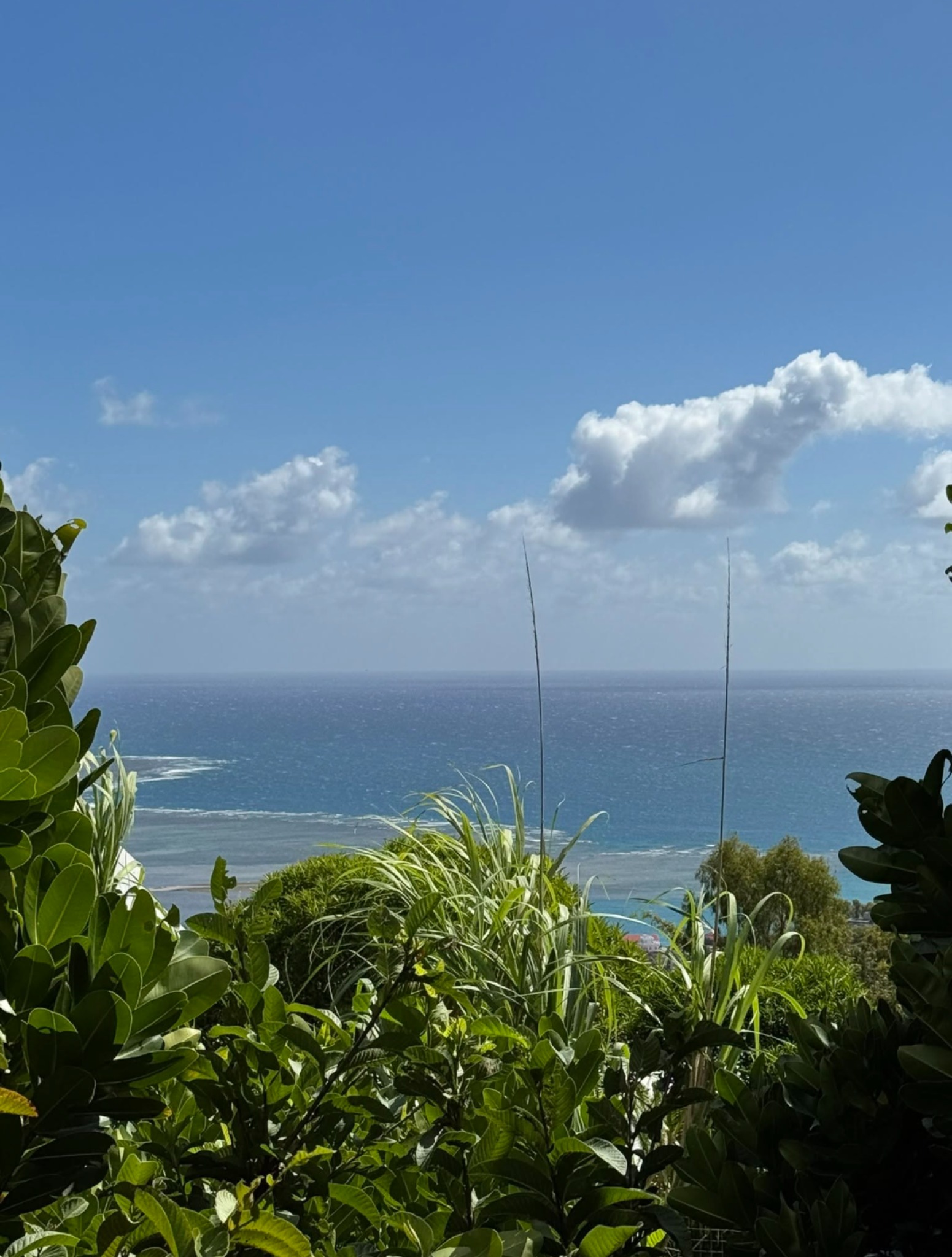 Terrain résidentiel de 880 m2 en vente à Rodrigues, , île Maurice – LexpressProperty.com | 832547 | Ref01
