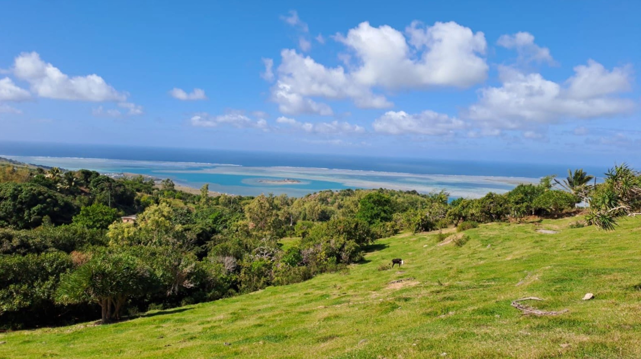 Terrain résidentiel de 2530 m2 en vente à Rodrigues, , île Maurice – LexpressProperty.com | 832552 | Ref01