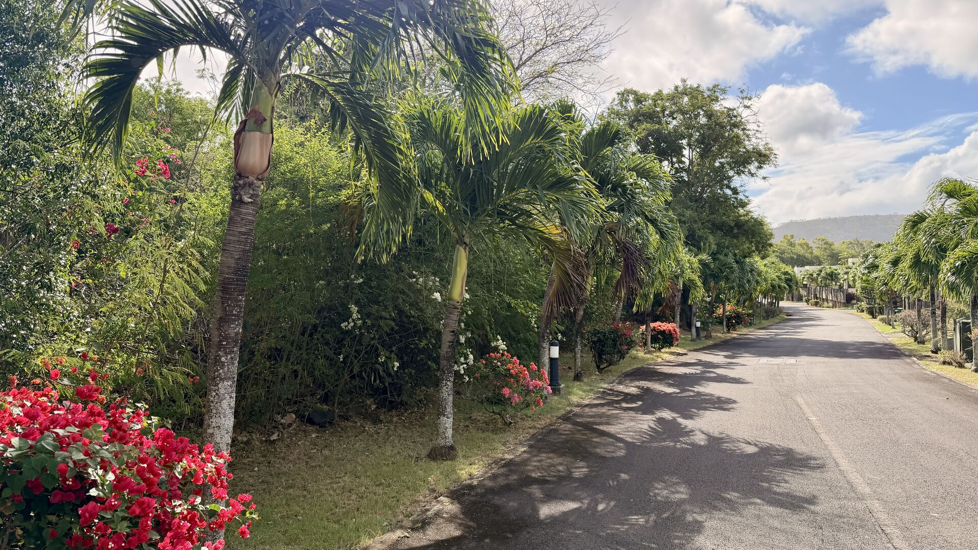 Property – LexpressProperty.com | 832718 | Ref01