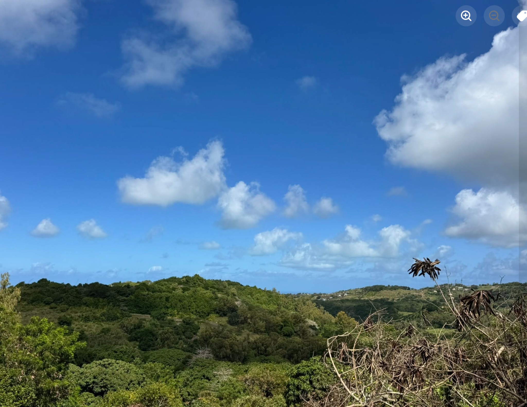 Residential land of 2221 m2 for sale in Rodrigues, , Mauritius – LexpressProperty.com | 832619 | Ref01