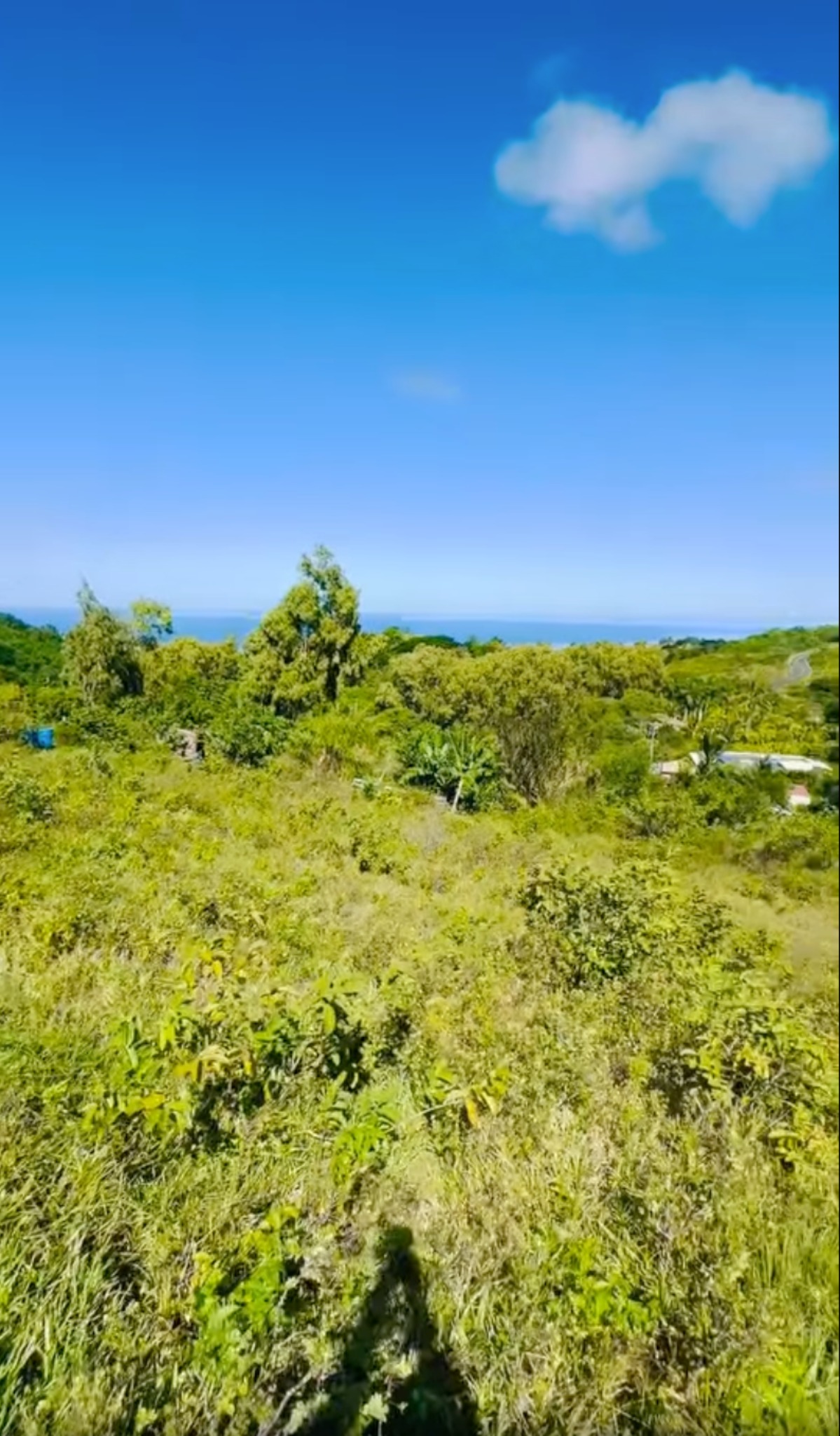 Residential land of 1260 m2 for sale in Rodrigues, , Mauritius – LexpressProperty.com | 832591 | Ref01
