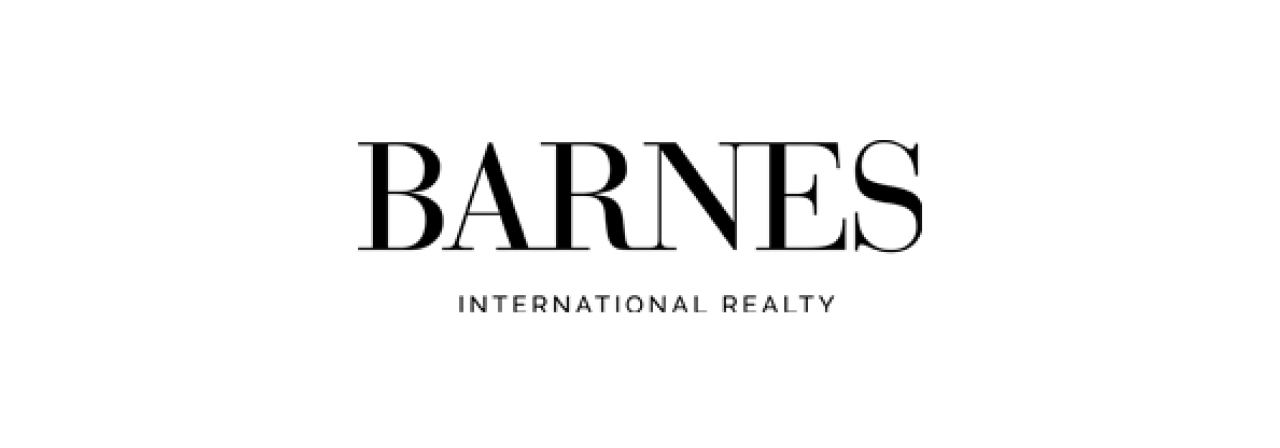 Barnes International Realty banner