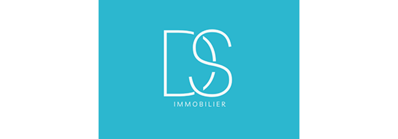 DS Immobilier banner
