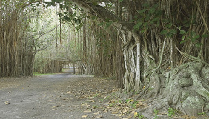 parc de mont choisy